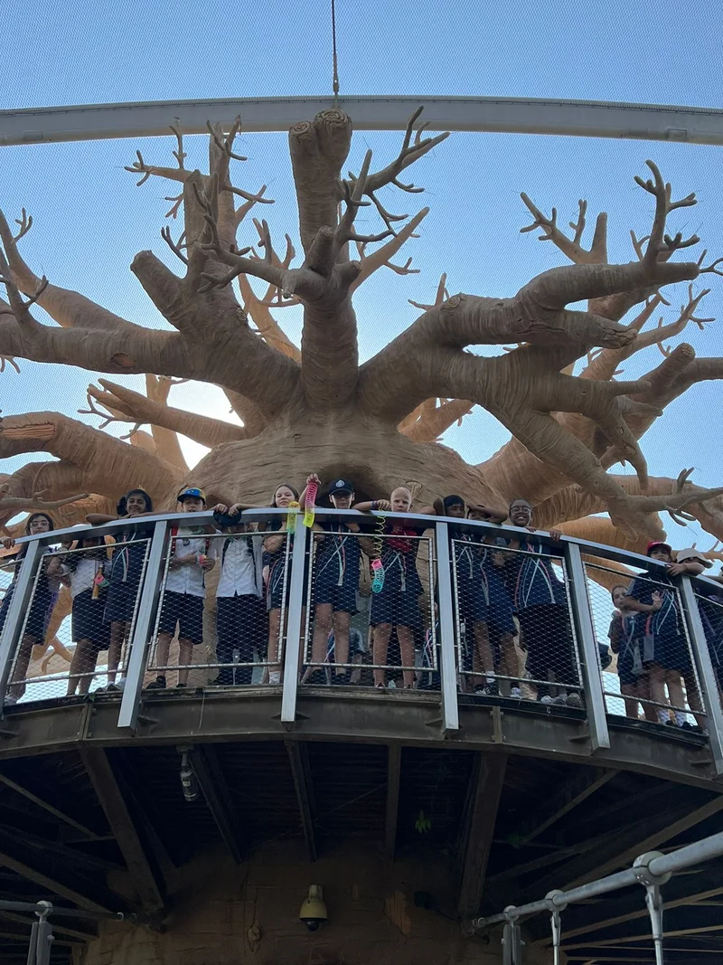 Students outdoor learning activity